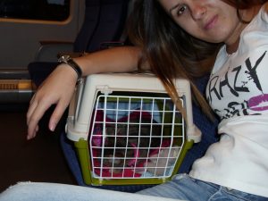 IMG_0780_31