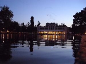 IMG_0868_50