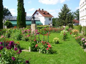 IMG_0886_1_35