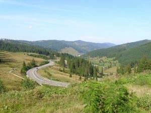 IMG_1059_31