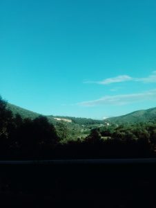 IMG_20160709_193632874