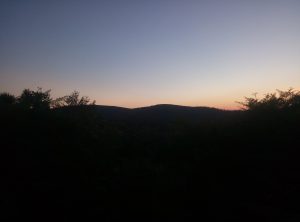 IMG_20160709_213546