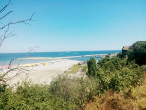 IMG_20160815_133055342_50
