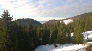 WP_20151226_005_50