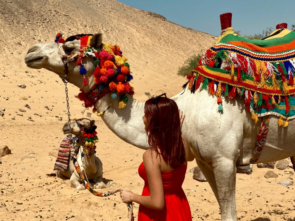 Girl in a red dress with camels on Nile River