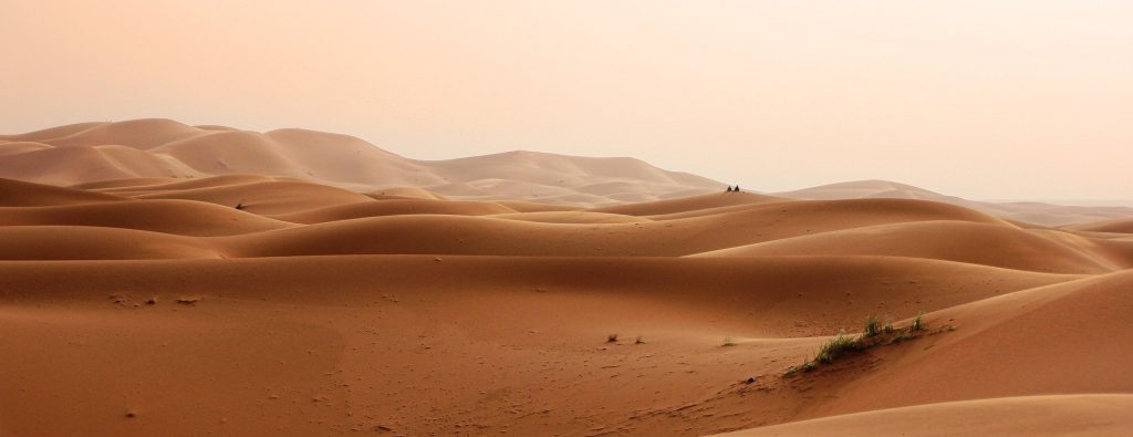 Dune: Part One