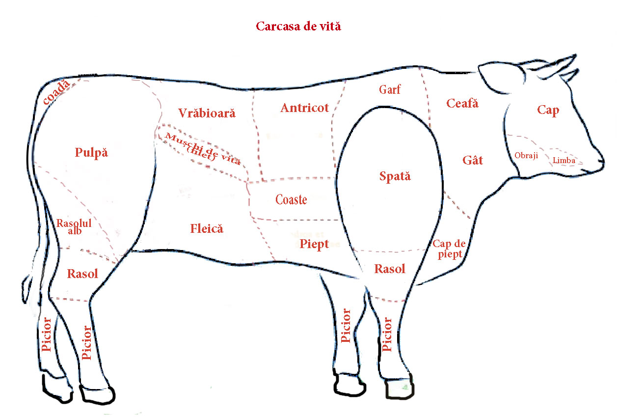 Carcasa