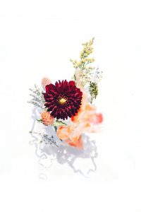 (Evie Shaffer, unsplash.com)