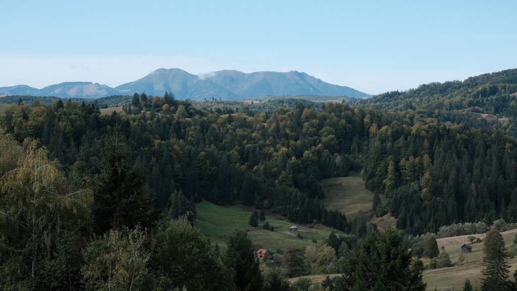 View on the way to traditions.