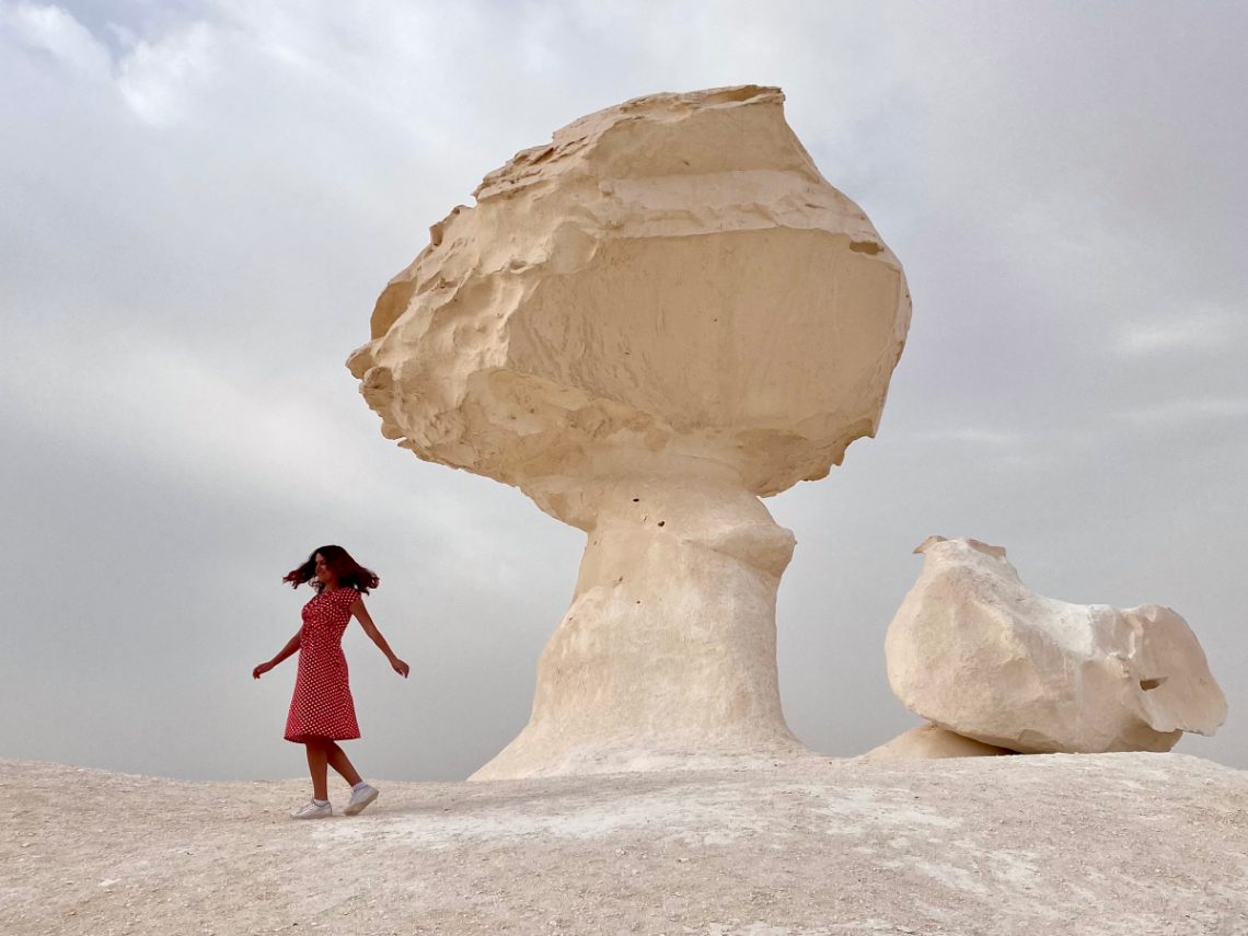 Limestone in White Desert